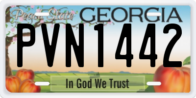 GA license plate PVN1442