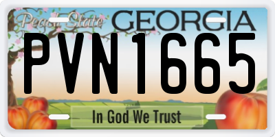 GA license plate PVN1665