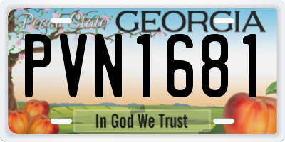 GA license plate PVN1681