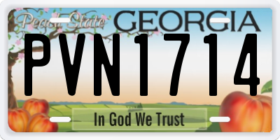 GA license plate PVN1714