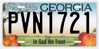 GA license plate PVN1721