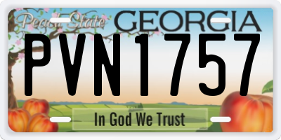 GA license plate PVN1757