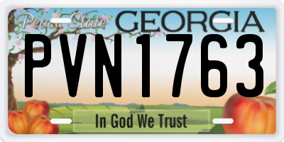 GA license plate PVN1763