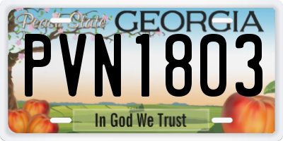 GA license plate PVN1803