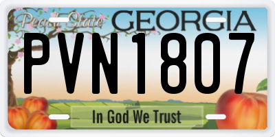 GA license plate PVN1807