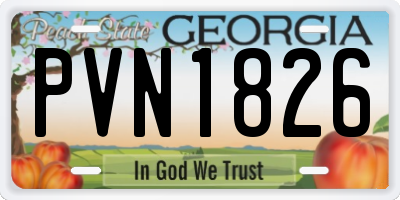 GA license plate PVN1826