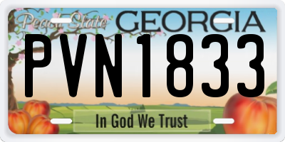 GA license plate PVN1833