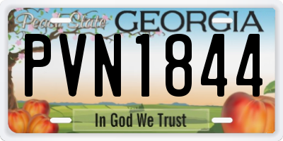 GA license plate PVN1844