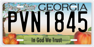 GA license plate PVN1845