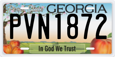 GA license plate PVN1872