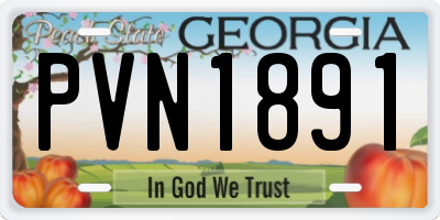 GA license plate PVN1891