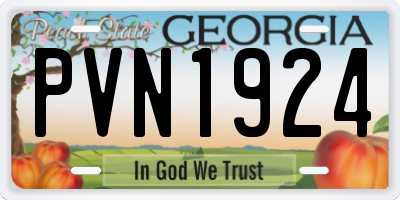 GA license plate PVN1924