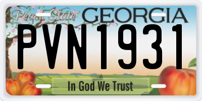 GA license plate PVN1931