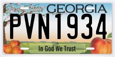 GA license plate PVN1934