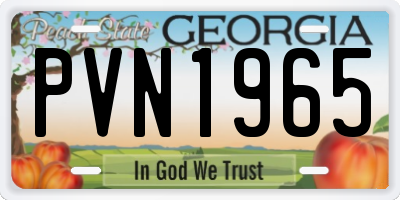 GA license plate PVN1965