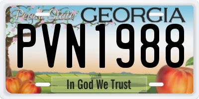 GA license plate PVN1988
