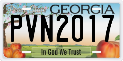 GA license plate PVN2017