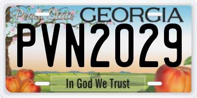 GA license plate PVN2029