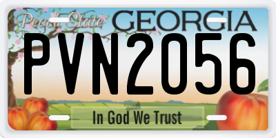 GA license plate PVN2056