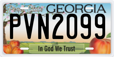 GA license plate PVN2099