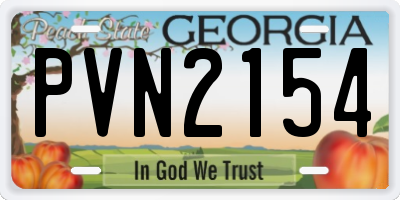 GA license plate PVN2154