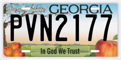 GA license plate PVN2177