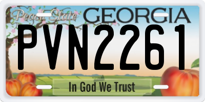 GA license plate PVN2261