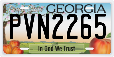 GA license plate PVN2265