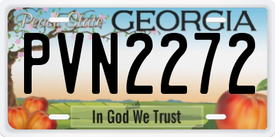 GA license plate PVN2272