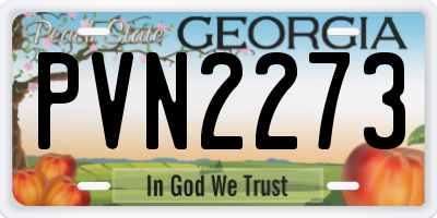 GA license plate PVN2273