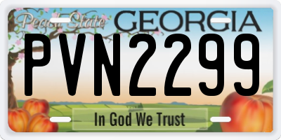 GA license plate PVN2299