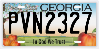 GA license plate PVN2327