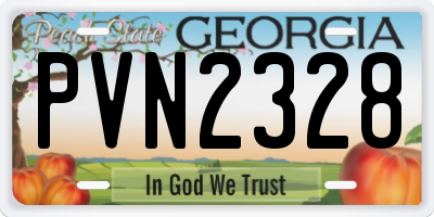 GA license plate PVN2328