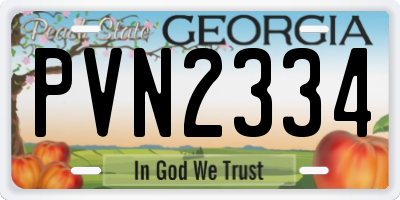 GA license plate PVN2334
