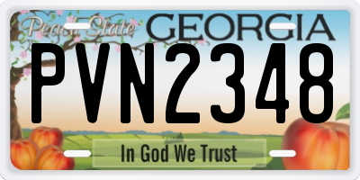 GA license plate PVN2348