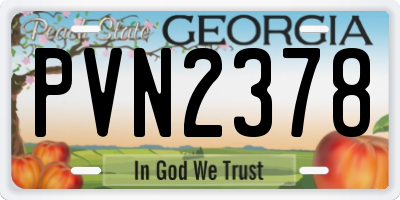 GA license plate PVN2378