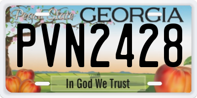 GA license plate PVN2428