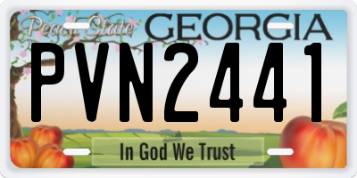 GA license plate PVN2441