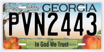 GA license plate PVN2443