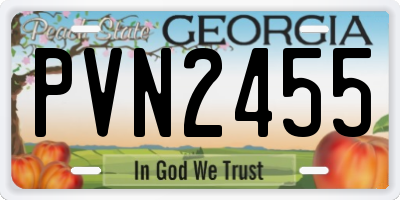 GA license plate PVN2455