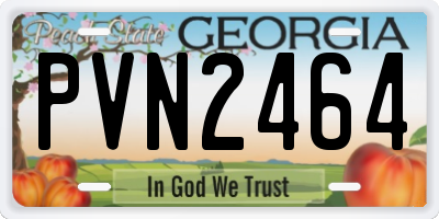GA license plate PVN2464