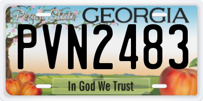 GA license plate PVN2483