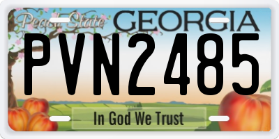 GA license plate PVN2485