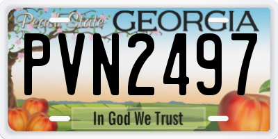 GA license plate PVN2497