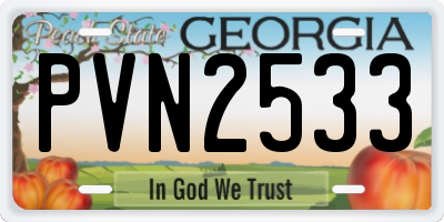 GA license plate PVN2533