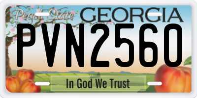GA license plate PVN2560