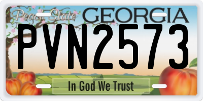 GA license plate PVN2573