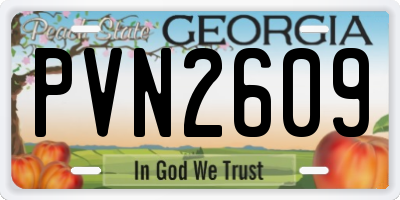GA license plate PVN2609