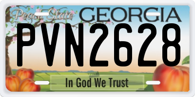 GA license plate PVN2628