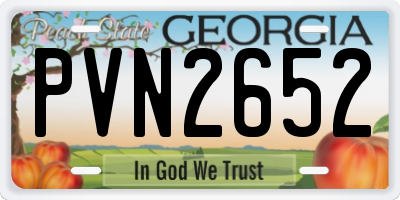 GA license plate PVN2652